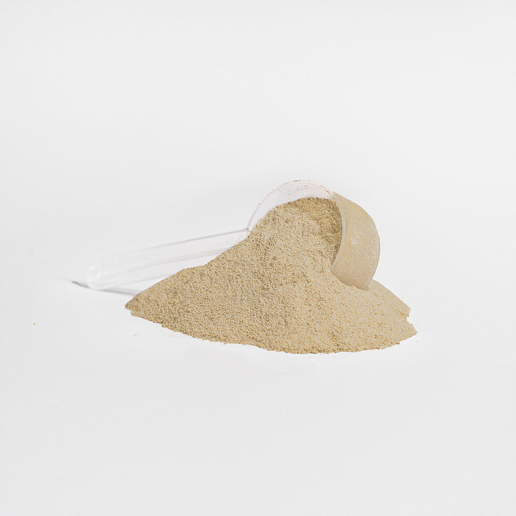 100% BXNNED whey protein isolate - VANILLA DREAM