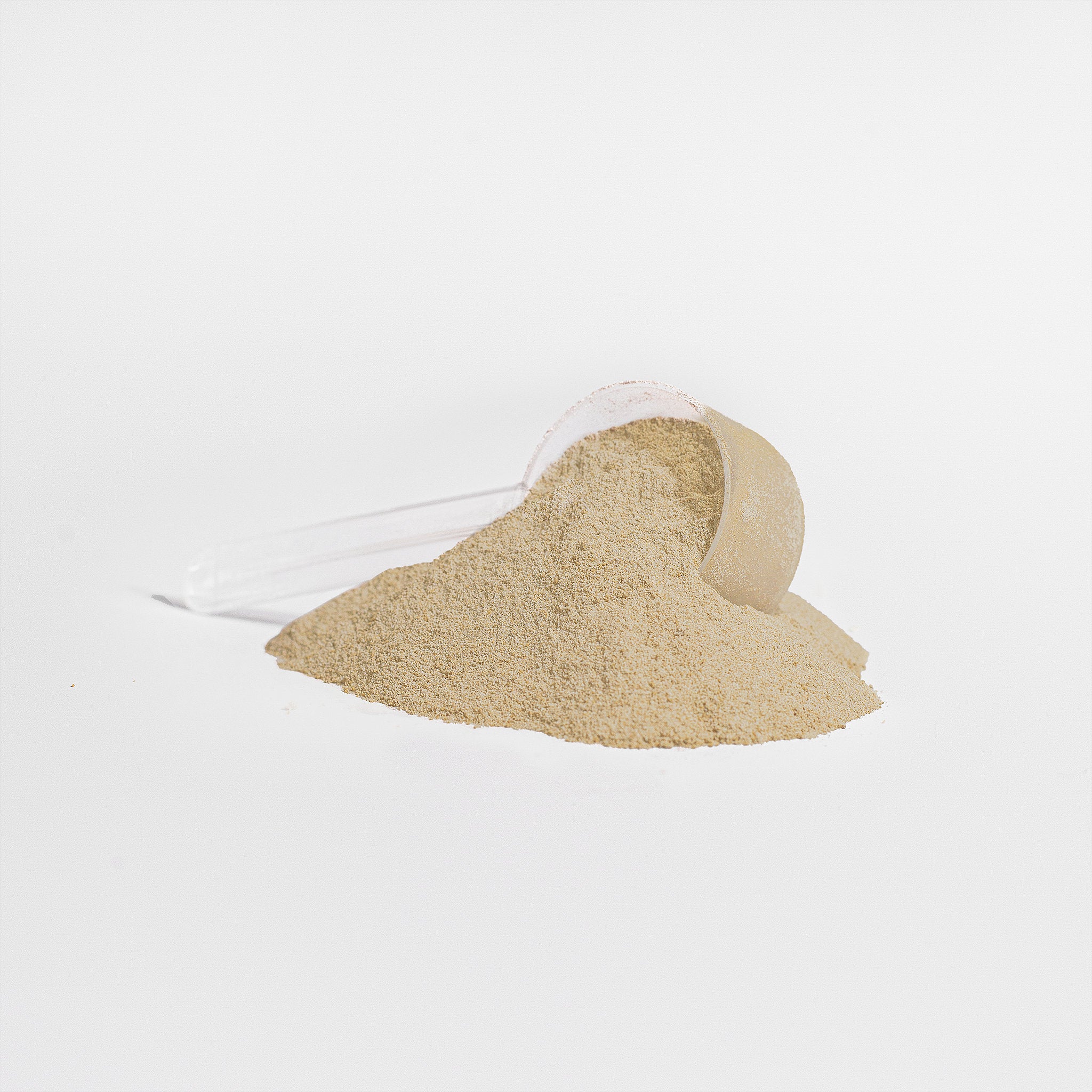 100% BXNNED whey protein isolate - VANILLA DREAM